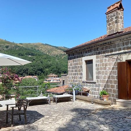 B&B Al Dosello Caserta Eksteriør billede